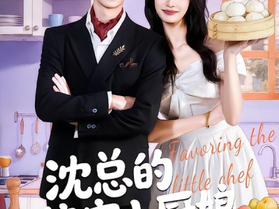 沈总的偏宠小厨娘