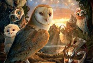 猫头鹰王国：守卫者传奇