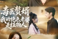 毒医赘婿：我的绝色老婆是植物人