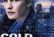 铁证悬案第二季