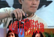 風情萬種野玫瑰