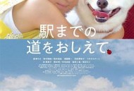 请告诉我去车站的路