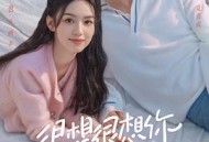 很想很想你MP4格式