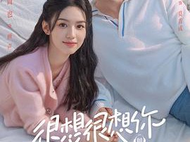 很想很想你MP4格式