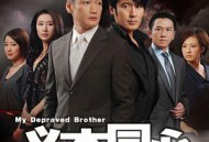 义本同心MP4格式