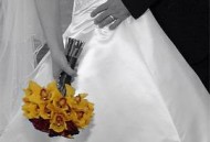 灵书妙探第六季