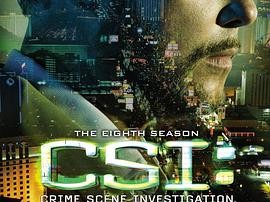 犯罪现场调查 第八季