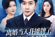 离婚当天我摊牌了，我是医武双神