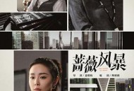 蔷薇风暴MP4格式