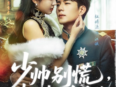 少帅别慌，夫人真有金手指