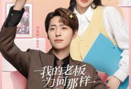 我的老板为何那样MP4格式