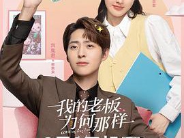 我的老板为何那样MP4格式