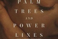 棕榈树与输电线