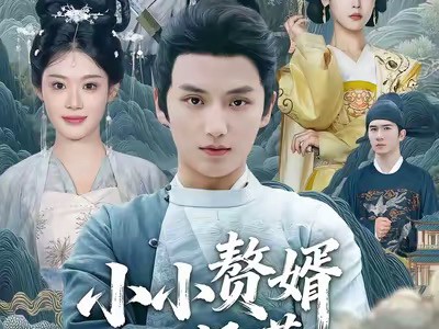 小小赘婿不好惹