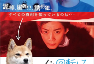 狗转了一圈 逃跑了