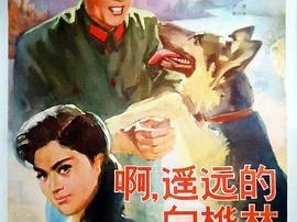 白桦林中的哨所