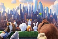 爱宠大机密英语