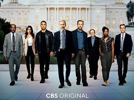 海军罪案调查处第二十季