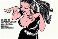 小野猫公路历险记