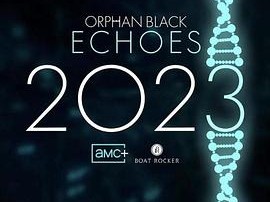 黑色孤儿：回响