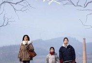 但愿人长久(秦天版)