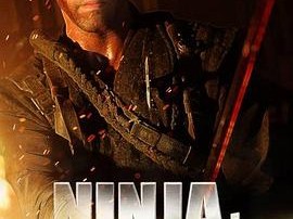 忍者2：撕裂的暗影