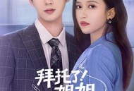 拜托了！姐姐MP4格式