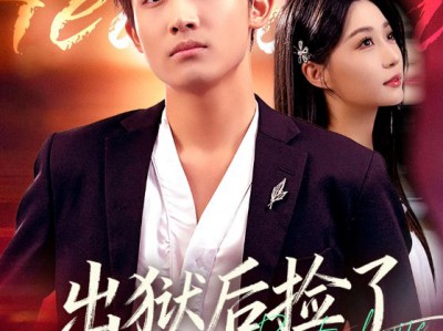 出狱后捡了高冷妻