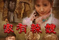 家有辣嫂