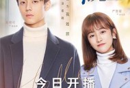 原来你是这样的顾先生MP4格式