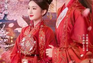 病娇王爷仵作妻MP4格式