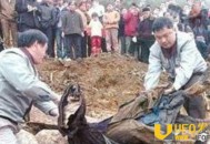 千年古墓挖出女活人：千年不腐会呻吟吓坏考古员_灵异鬼话_UFO发现网