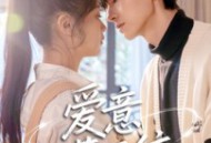 爱意藏不住短剧