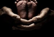 灵异女仆第一季