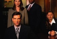 律师本色第四季