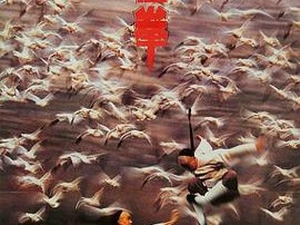 功夫小子闯情关