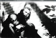 鸥鸟落亡于海港