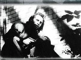 鸥鸟落亡于海港