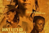 今晚不要让我们去打狗