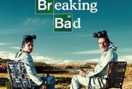 绝命毒师  第二季