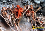 土著部落最恐怖殡葬仪式：火坑熏尸_灵异鬼话_UFO发现网