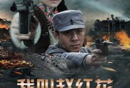 我叫赵红花MP4格式