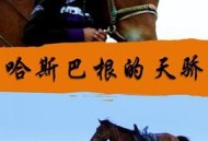 哈斯巴根的天骄