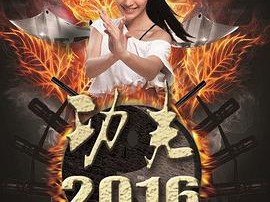 功夫2016
