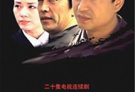 阳光代表MP4格式