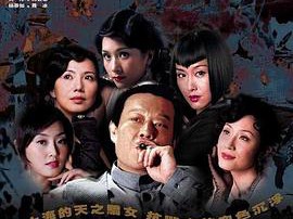 暴雨梨花MP4格式