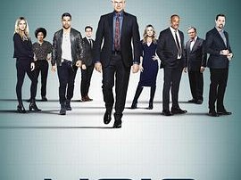 海军罪案调查处第十八季