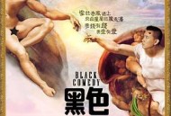 黑色喜剧2014