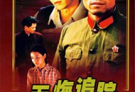 无悔追踪王志文版MP4格式