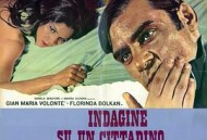 对一个不容怀疑的公民的调查